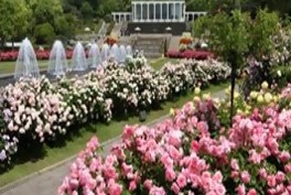 15.神戸の公園アラカルト