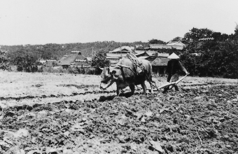 写真：多聞の農耕風景