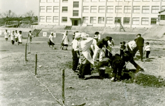 写真：東垂水小学校の運動場整地作業