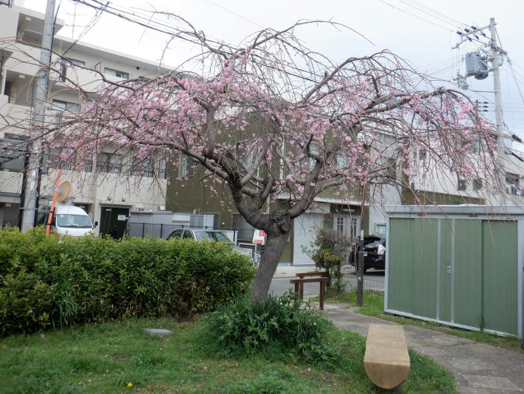  kaiunfutagoike