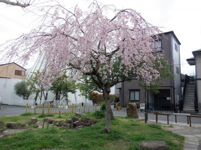  kaiunfutagoike2