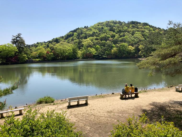 修法ヶ原池の夏