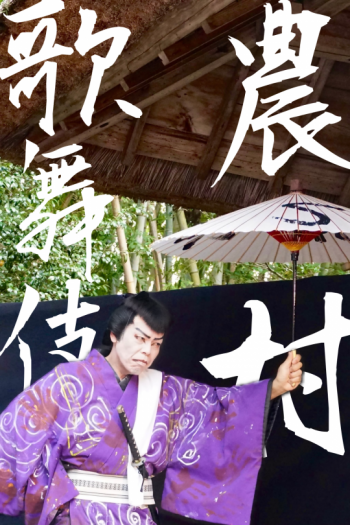 のうそん