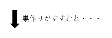 yajirushi
