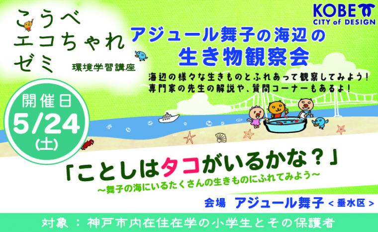 1タコいるかな