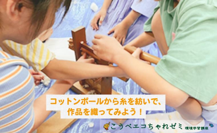 10_コットンボール