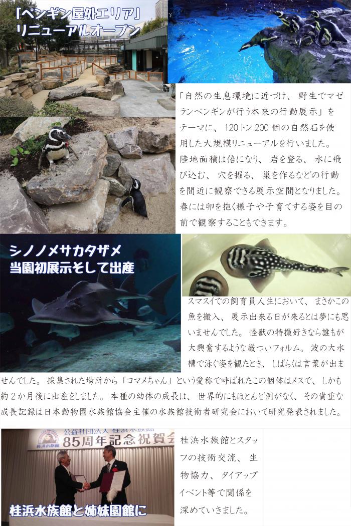 2016年03