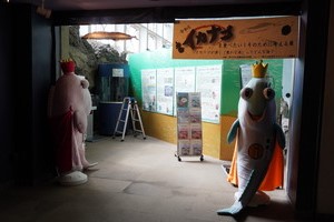 波の大水槽上部010