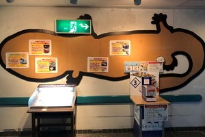 世界のさかな館018