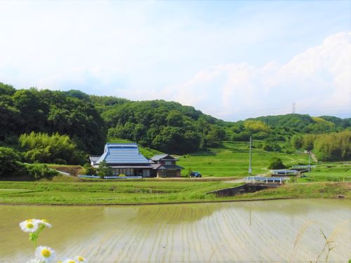 農村風景