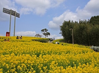 神戸総合運動公園の写真