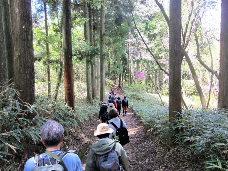 徳川道を抜ける