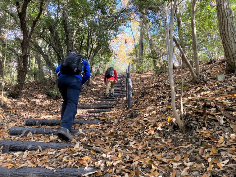 太山寺・山城跡コースの登山道