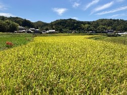 丹生山田の里