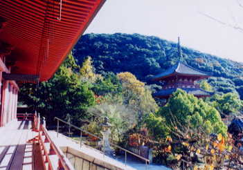 太山寺本堂からの眺め