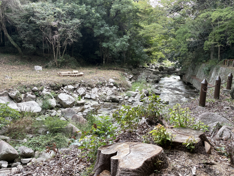 もとのクスノキと遠景