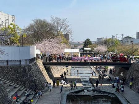 都賀川と桜の写真