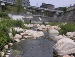 垂水区福田川