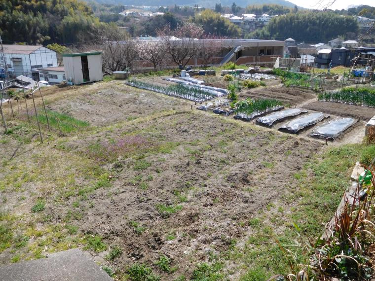 shimohatahayashi