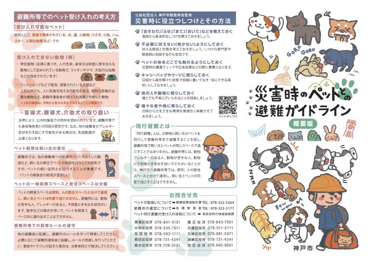 概要版（オモテ）
