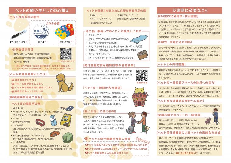 概要版（ウラ）