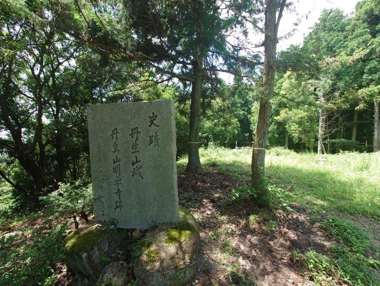 tanzyosekihi