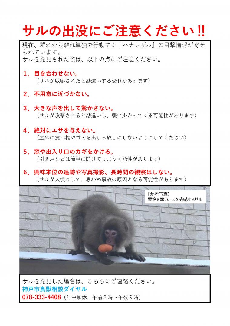 サルチラシ