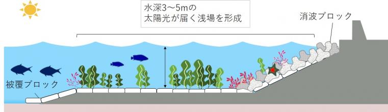 環境創造型護岸イメージ図