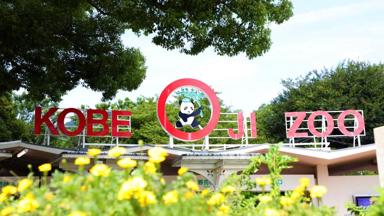 王子動物園