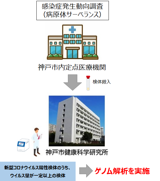 ゲノム解析流れ