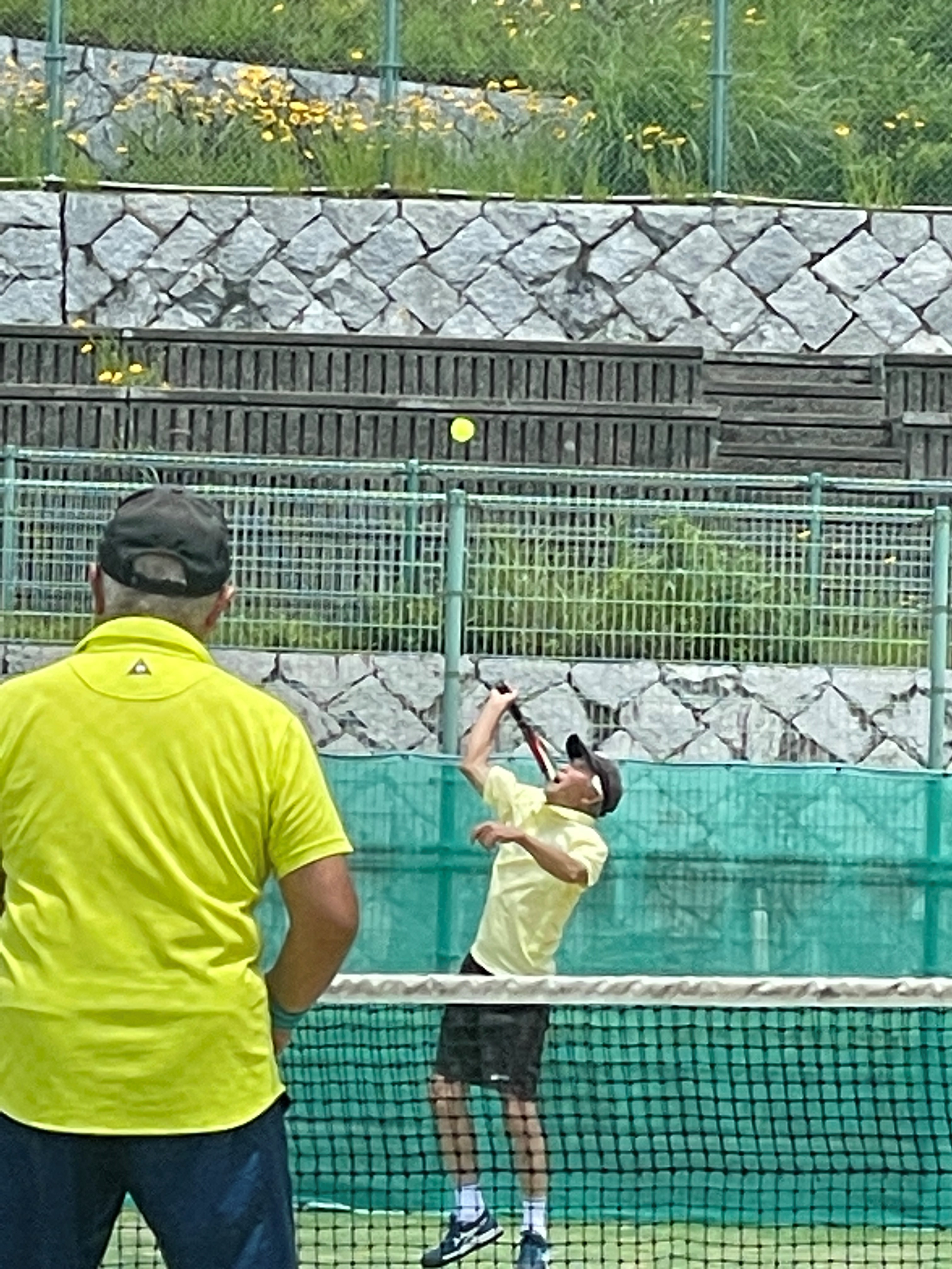 tenisu