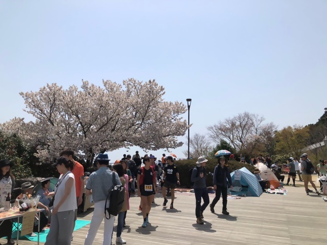 神戸トレイルの様子5