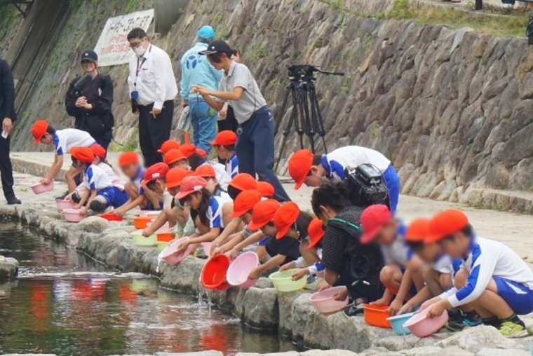 児童の皆さんによる鮎の稚魚の放流（鮎の稚魚の放流）