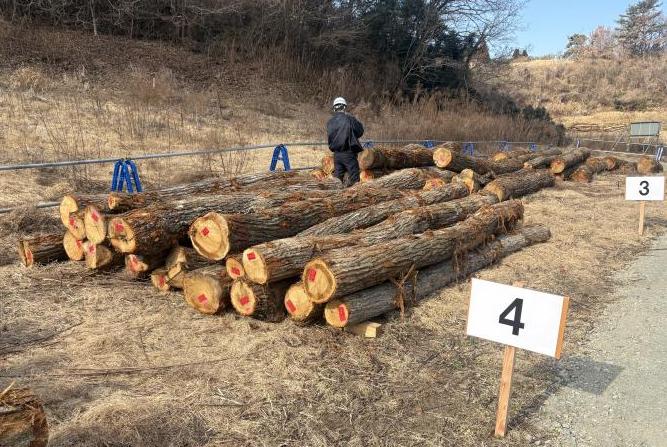 伐採木販売時の土場の状況