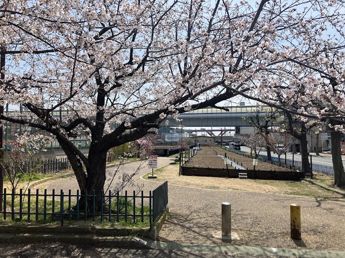 LOCAL FARM神戸大石①