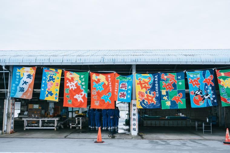 海と、魚と①