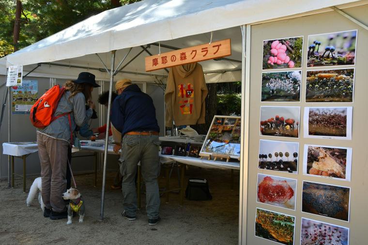 こうべ森の文化祭2023出店の様子