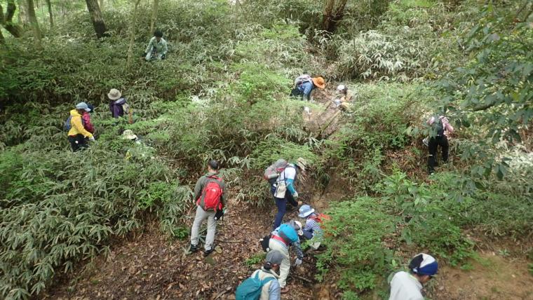 風道を通す草刈り作業