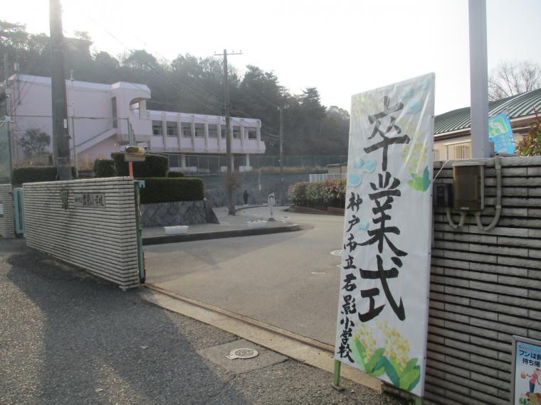 君影1