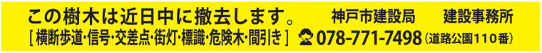 伐採周知用テープ