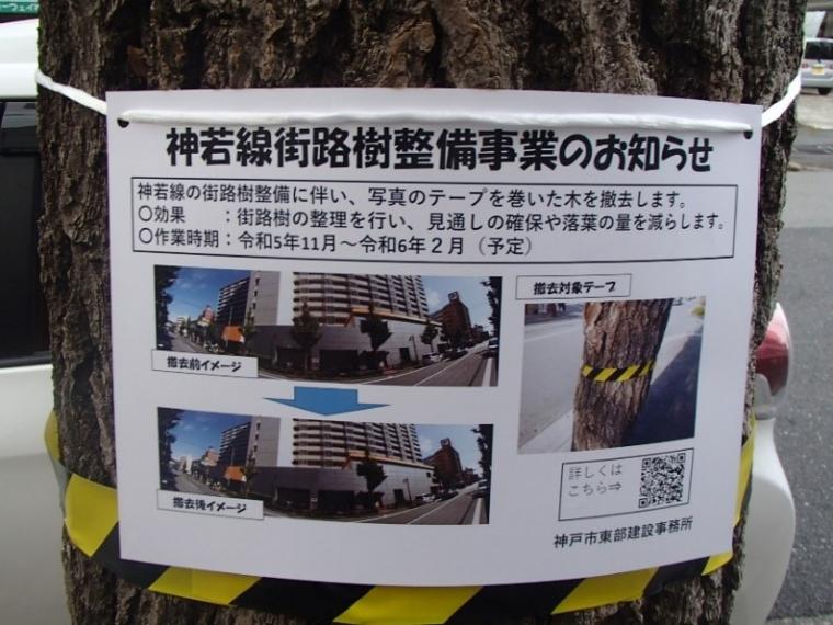 お知らせ②