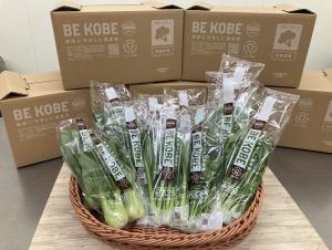 BE KOBE農産物の小松菜