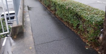 舗装の細かいひび割れの写真
