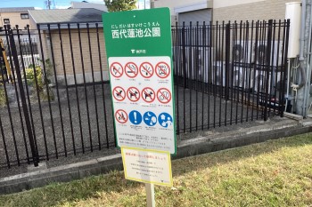 マナー写真2