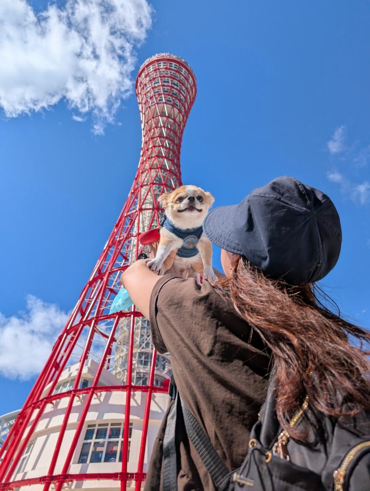 初めてのポートタワー