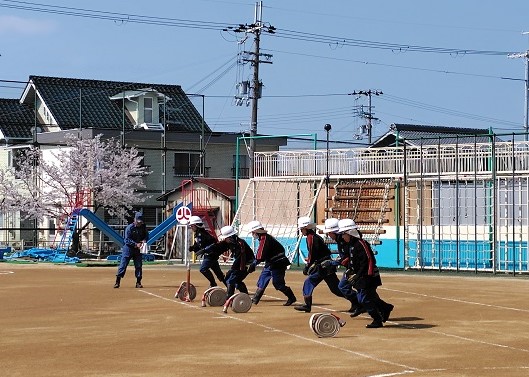ponpu01