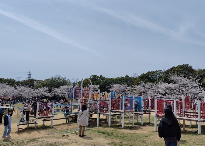 sakuramatsuri5