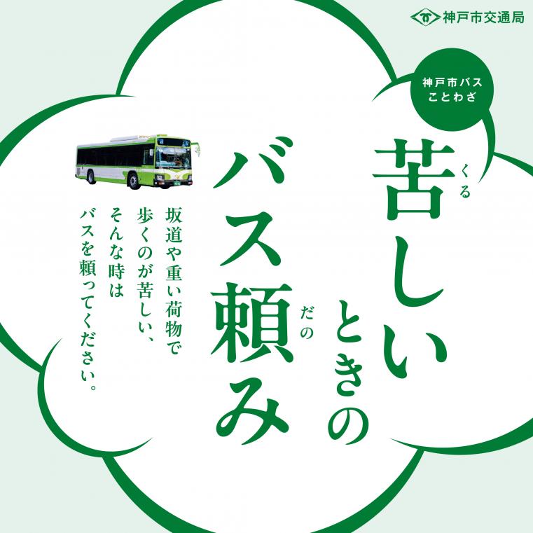 busdanomi