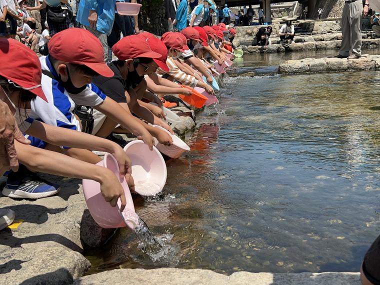 過去の鮎の稚魚の放流の様子②