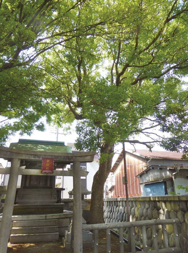 07_kodensha